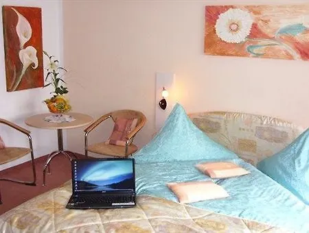Flamingsthaler Hof מלון 3*