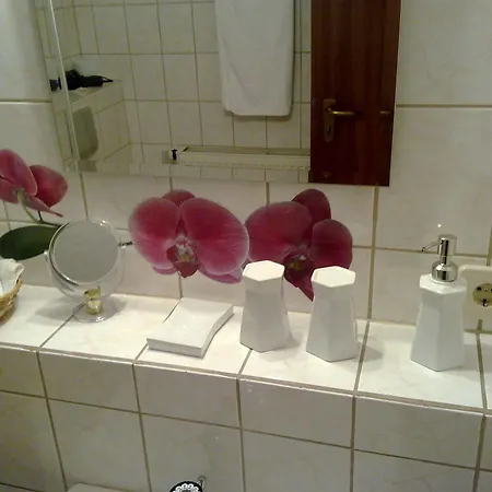 מלון Flamingsthaler Hof דליטש'