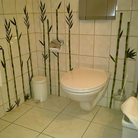 Flamingsthaler Hof מלון דליטש'